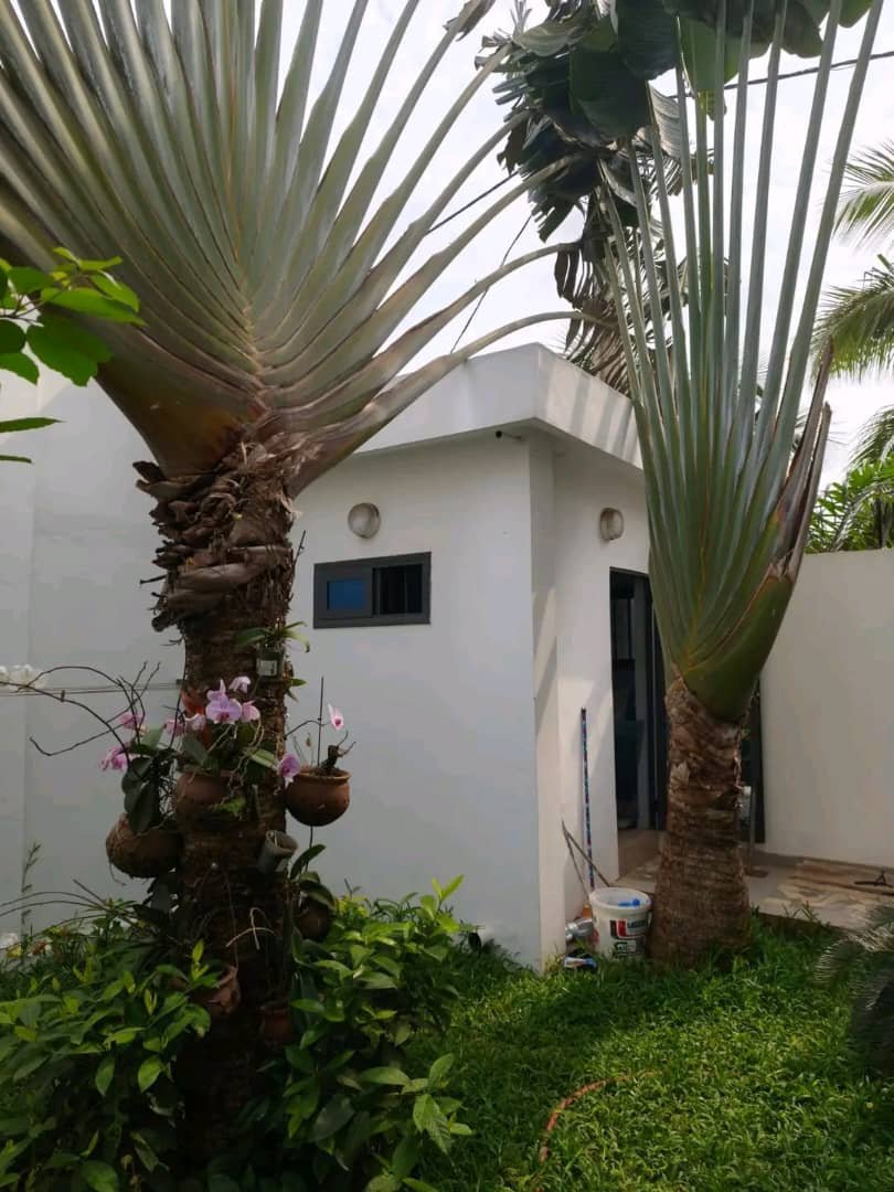 Belle villa duplex meublée à vendre à Calavi Bakhita – Titre Foncier — photo 15