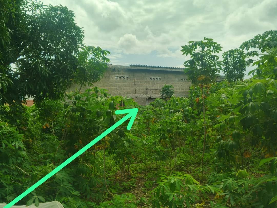 Vente parcelle 503 M2 à Pahou Dénou — photo 3