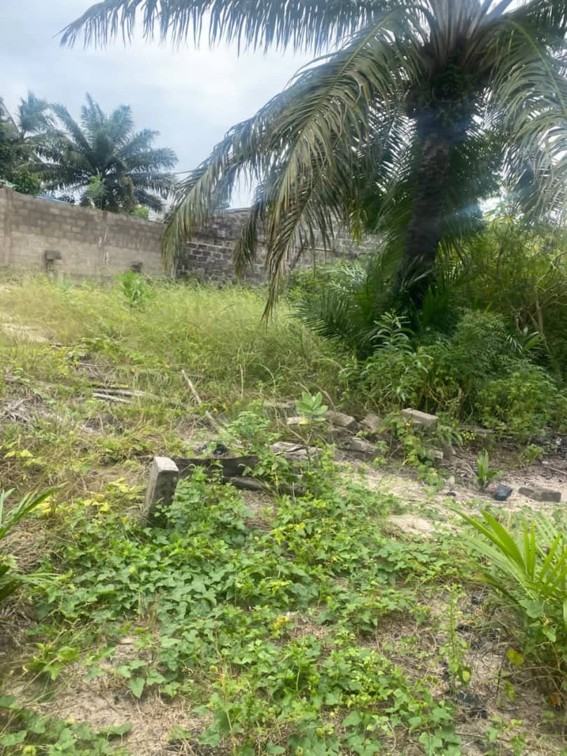 Vente parcelle avec titre foncier a Pahou Dénou à 100m du goudron — photo 4