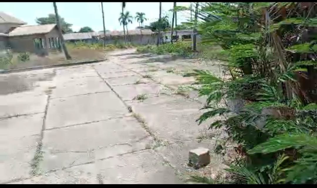 Vente parcelle avec titre foncier a Pahou Dénou à 100m du goudron — photo 3