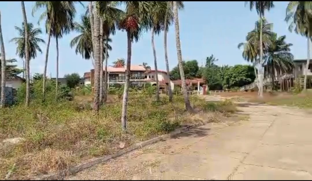 Vente parcelle avec titre foncier a Pahou Dénou à 100m du goudron — photo 7