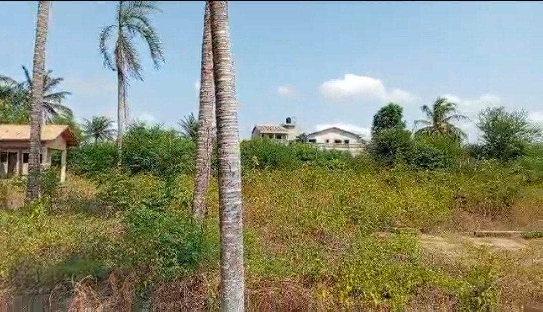 Vente parcelle avec titre foncier a Pahou Dénou à 100m du goudron — photo 5